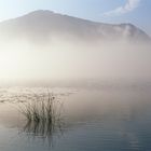 Jochberg im Nebel