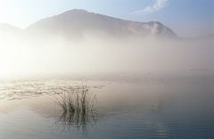 Jochberg im Nebel