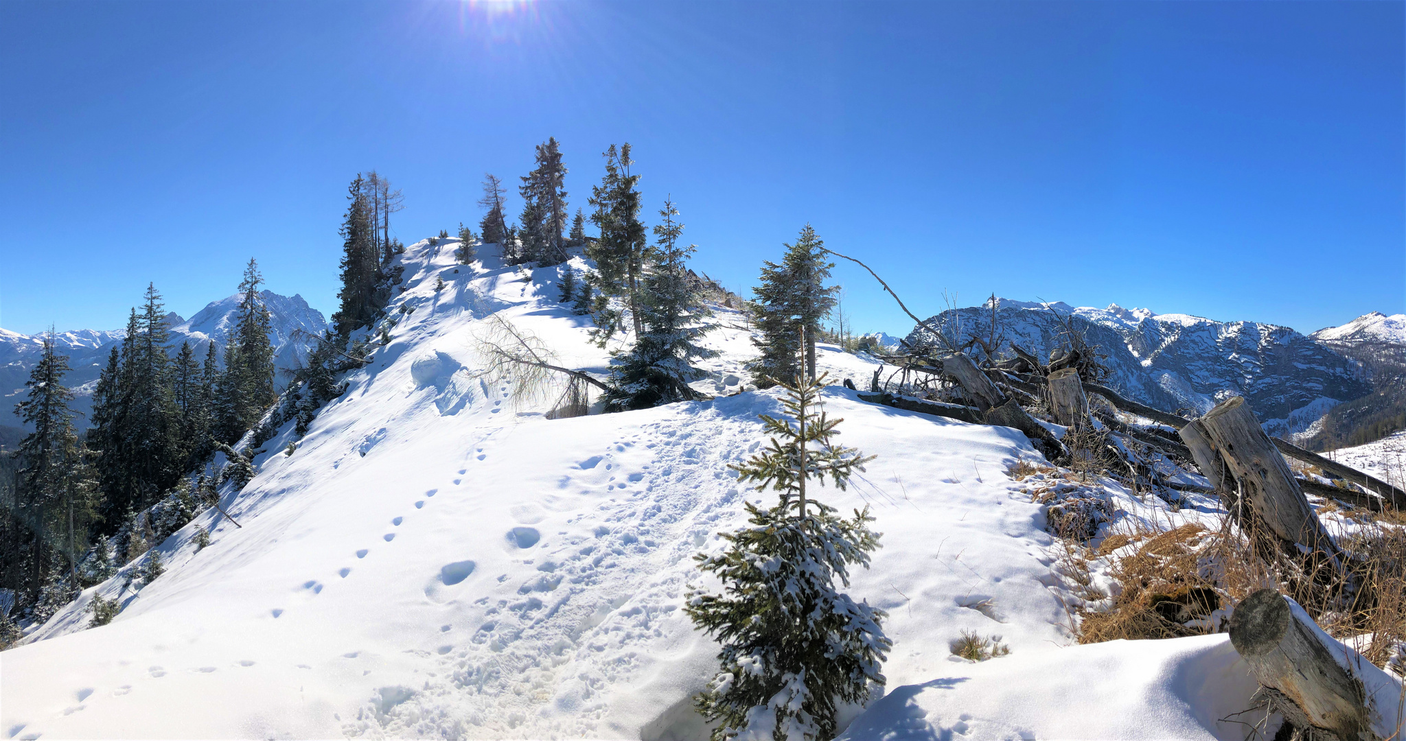 Jochköpfl im Lattengebirge, Berchtesgadener Land