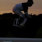 Jockey im Abendlicht