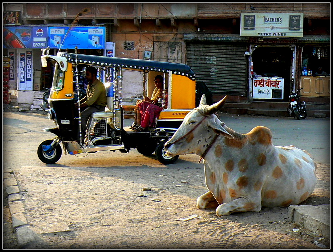 Jodhpur