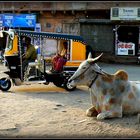 Jodhpur