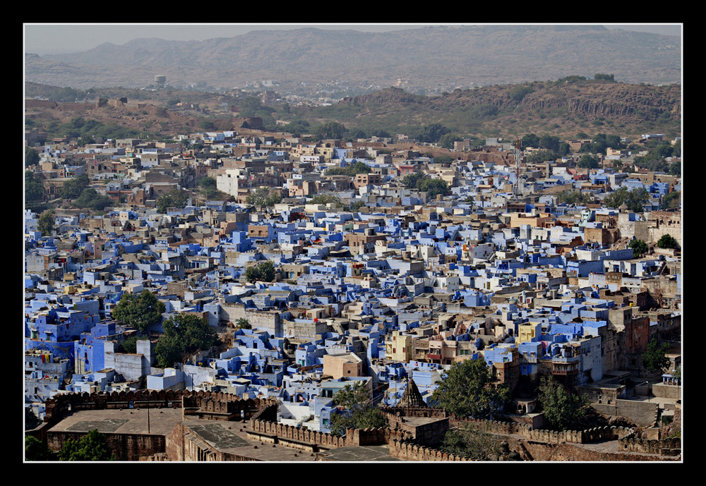 Jodhpur, die blaue Stadt