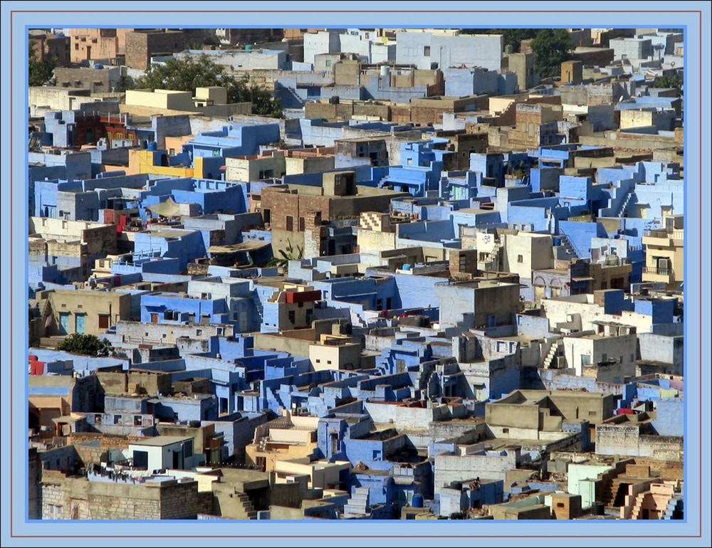 Jodhpur, la ville bleue