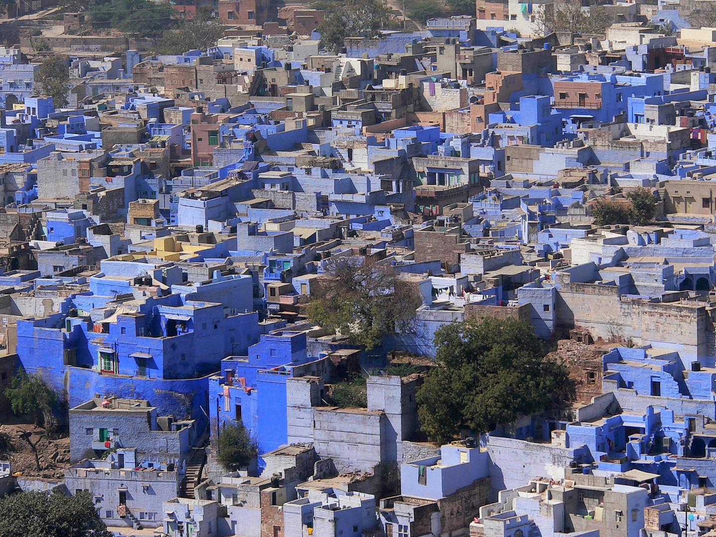 Jodhpur the blue