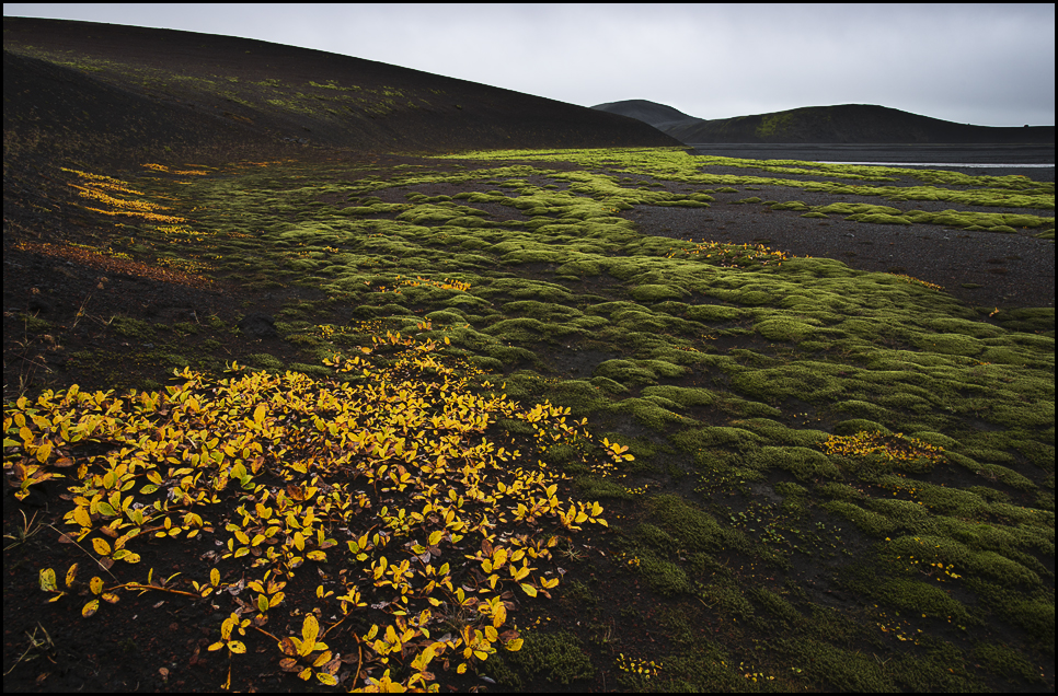 Jökulheimar