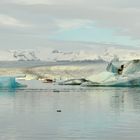 Jökullsarlon