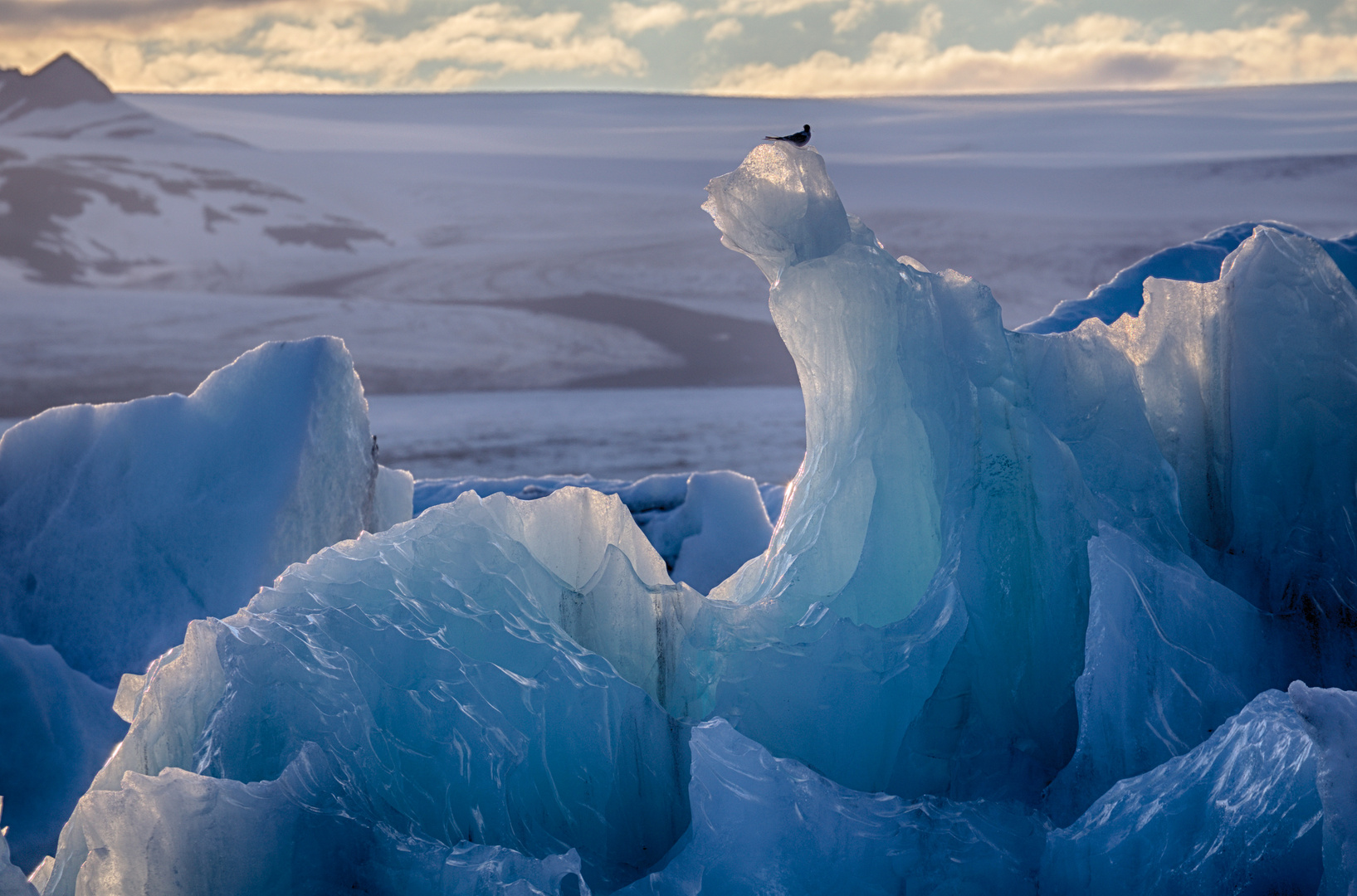 Jökulsárlón 1