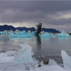 Jökulsárlón 11