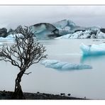 Jökulsarlón