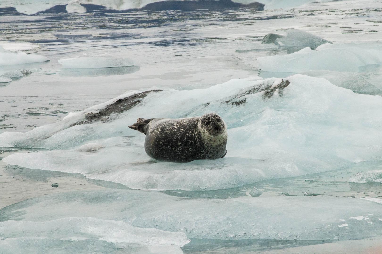 Jökulsárlón