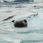 Jökulsárlón