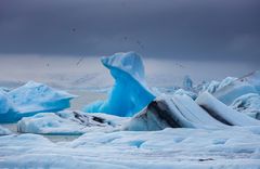 Jökulsarlon 3