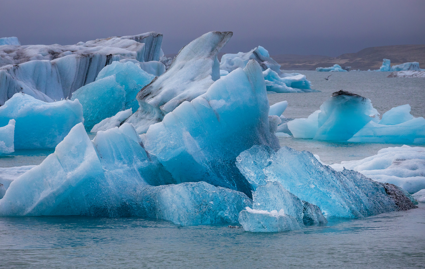 Jökulsarlon 4