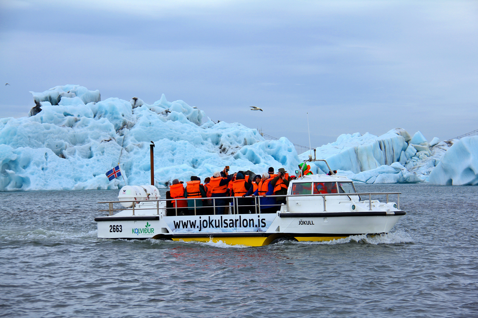 Jökulsárlón 5