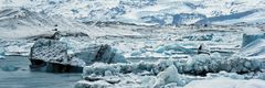 Jökulsarlon 5