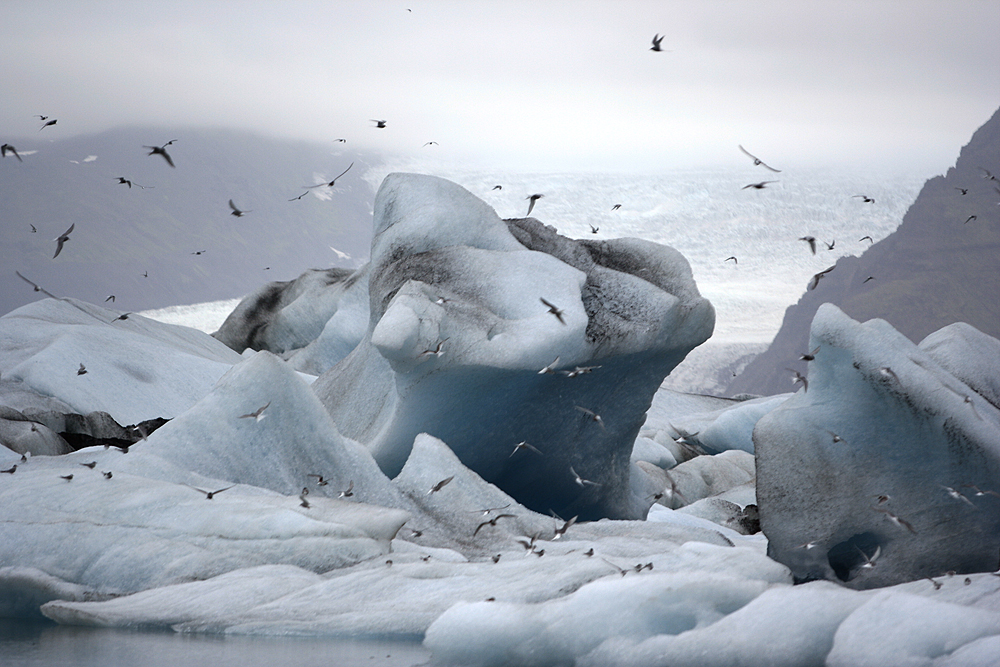 Jökulsárlón..