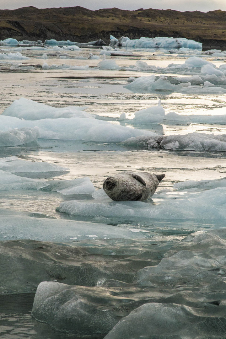 Jökulsárlón