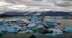 Jökulsárlón - Gletscherflusslagune V