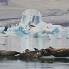 Jökulsarlon / Island