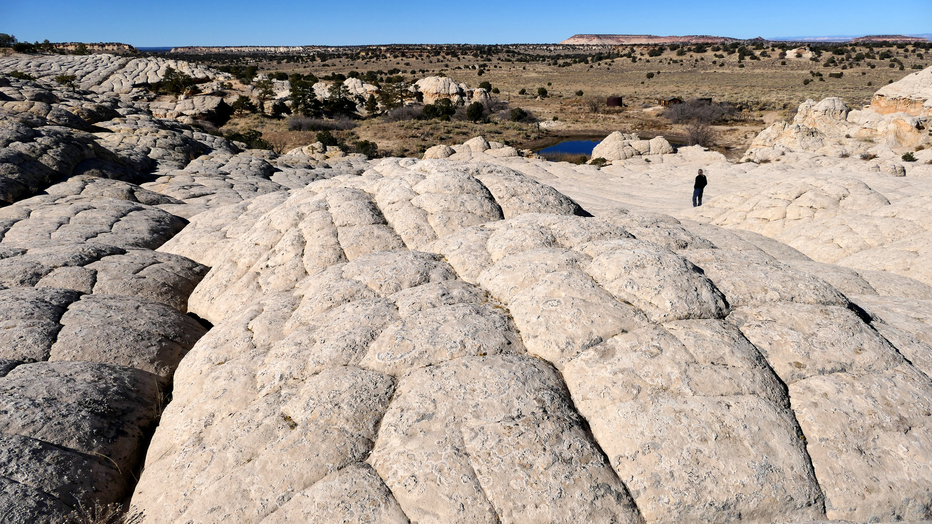 Joes Tank in den South Vermilion Cliffs