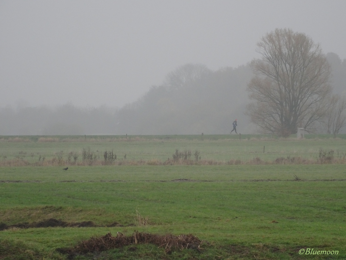 Jog in the Fog