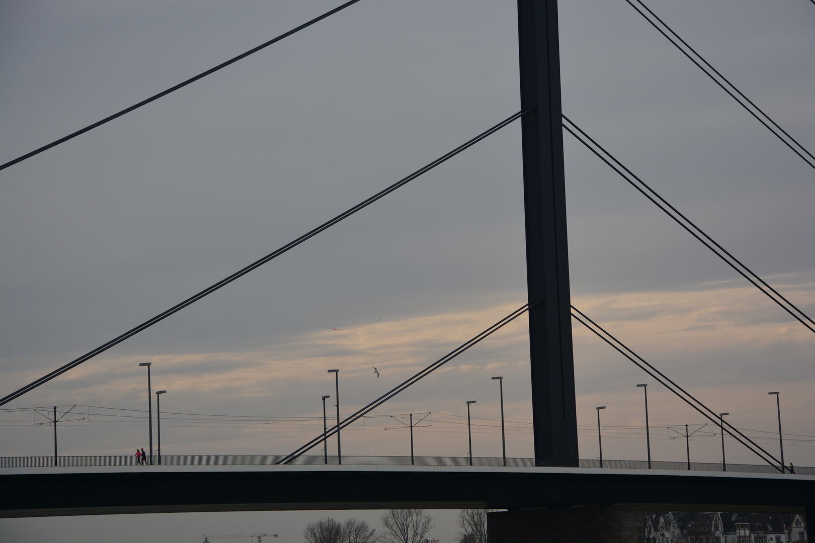 Joger auf der Rheinbrücke in Düsseldorf