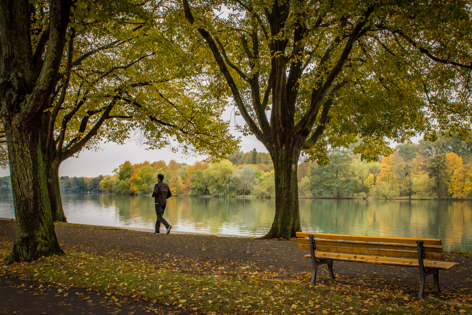 Joggen am Maschsee - Hannover