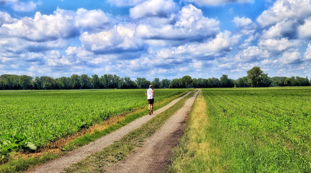 Joggen auf dem Lande