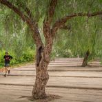 Joggen auf dem Montjuic - Barcelona