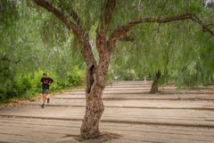 Joggen auf dem Montjuic - Barcelona