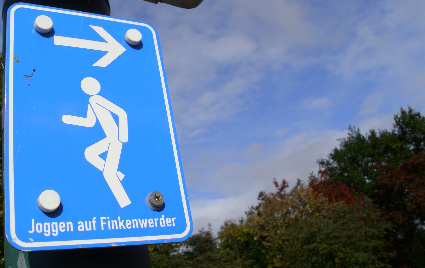 Joggen auf Finkenwerder