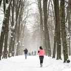 Joggen, bis der Schnee kommt!