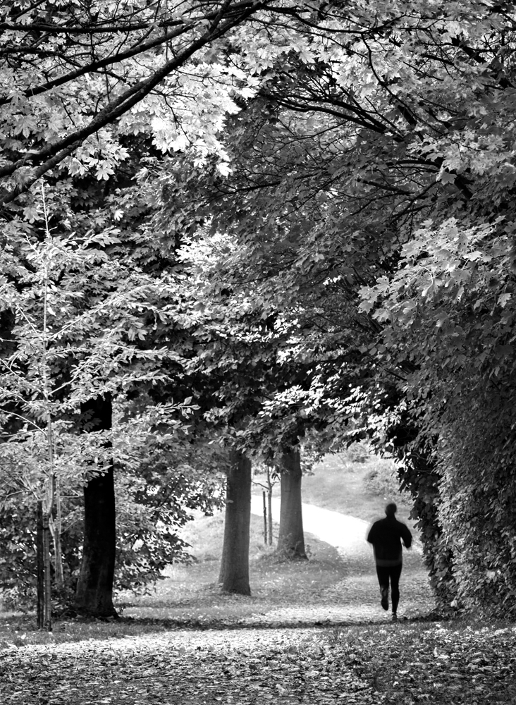 joggen durch Herbst