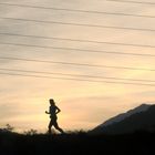 Joggen im abendlichen Gegenlicht