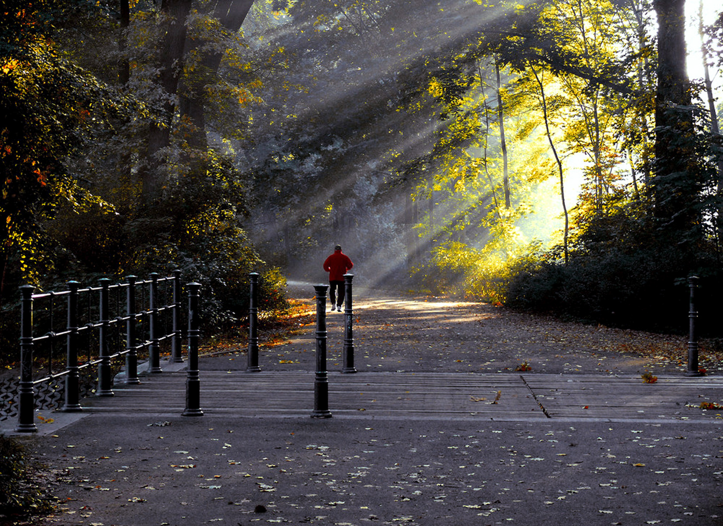 Joggen im Park