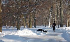 Joggen im Park