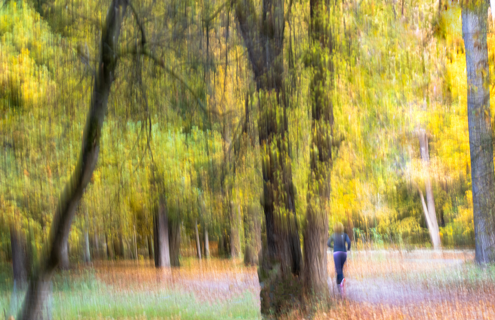 Joggen im Park