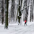 Joggen im Schnee