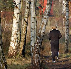 Joggen im Wald