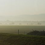 Jogger am Sonntagmorgen