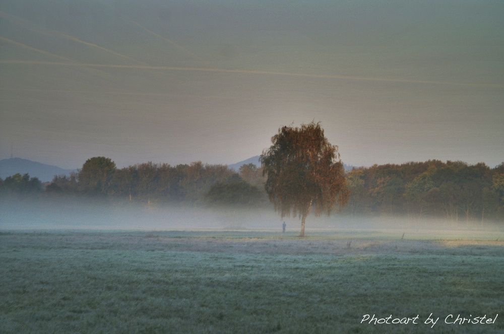 Jogger im Nebel