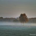 Jogger im Nebel