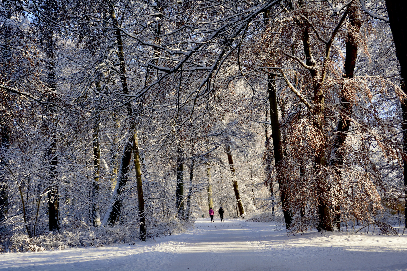 Jogger im Schloßpark