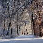 Jogger im Schloßpark