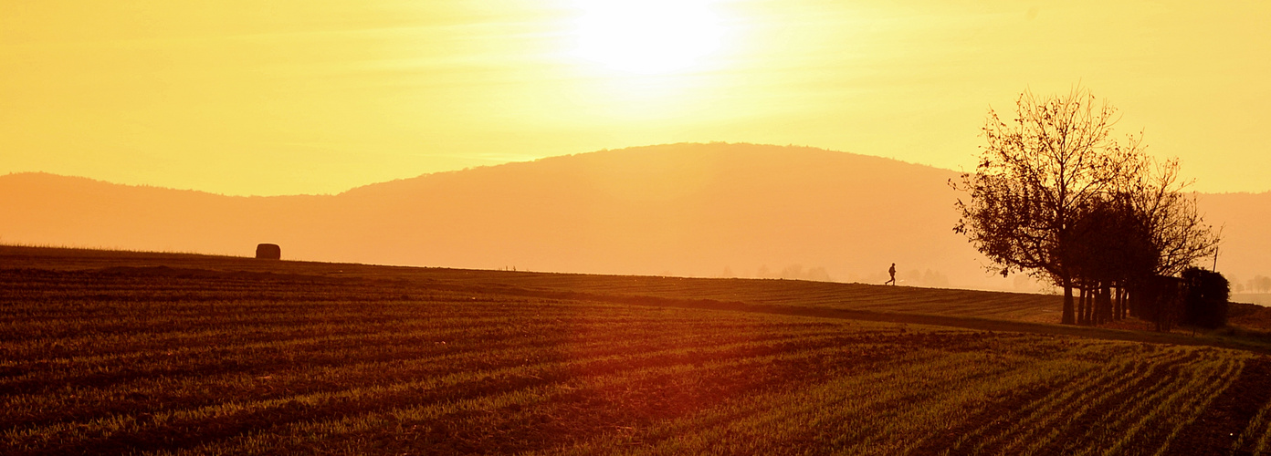 Jogger im Sonnenuntergang