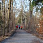 Jogger in Blau