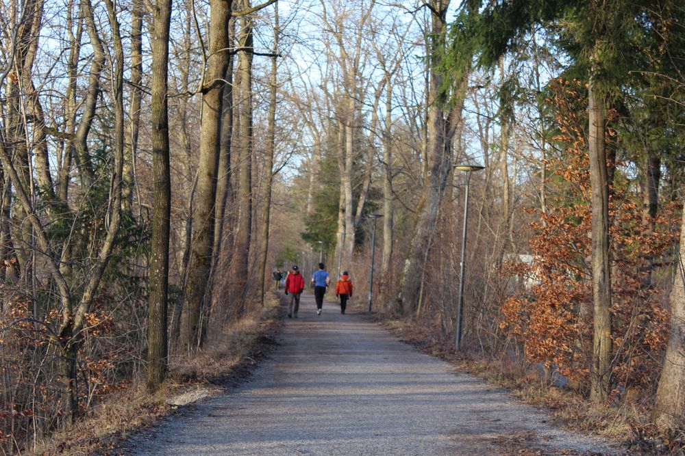 Jogger in Blau