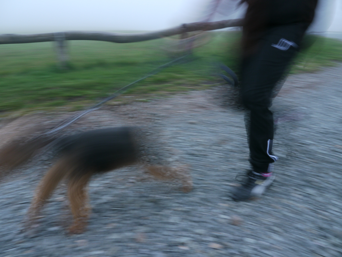 Jogger mit Hund