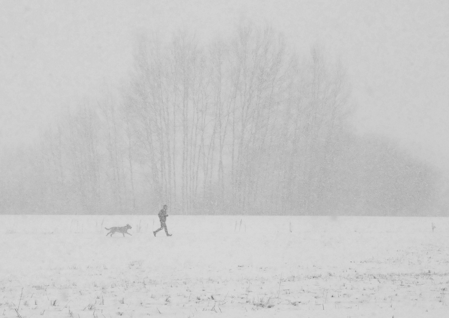 Jogger mit Hund im Schneetreiben